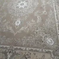 قالی۱۲متری درحد