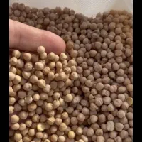 نخود اعلا زودپز محلی