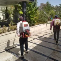 سم پاشی تمامی افتها باغ باغچه منزل و.سراسرکرج حومه