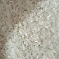 برنج شمال فجر سوزنی باقیمت پاکستانی