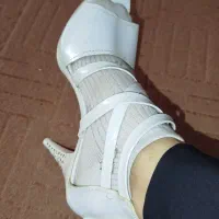کفش مجلسی