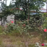 ویلا باغ ۱۶۰۰ متری روستایی