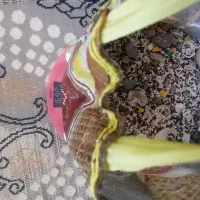 17 کیلو سنگ و شن بستر آکواریوم