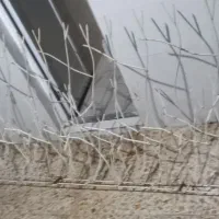 نرده اهنی و شاخ گوزنی و درو پنجره