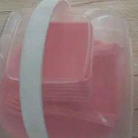 سبد پیک نیک