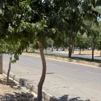 فروش مغازه ۳۴ متری بر فرهنگشهر