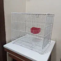 قفس