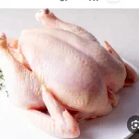 مرغ و پروتئین تخفیف
