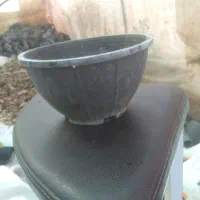 کاسه پتوس(گلدان اویز)