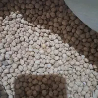 فروش نخود سفید درجه یک