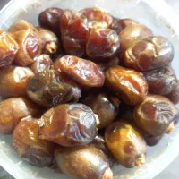 خرما کبکاب
