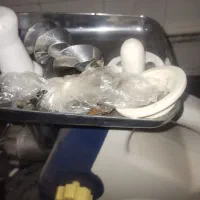 چرخ گوشت