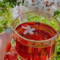 فروش عمده چای شمال
