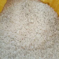 برنج هاشمی ۳۶۰