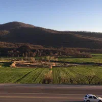 سوییت و ویلا اجاره ای . ساعتی و روزانه (تنگراه)