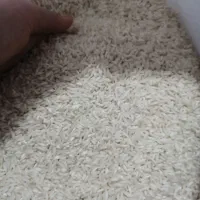 برنج هاشمی. درجه یک دو الکه