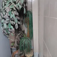 دوعدد گلدان مصنوعی بزرگ
