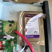 هارد وسترن بنفش 1TB
