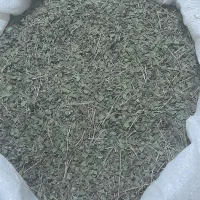 آویشن تازه امسالی