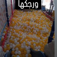 نیازمند منشی برای شهربازی