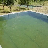 باغ سند تک برگ