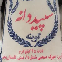 برنج طارم زنجان و ممان میانه و صدری حصار «کالابرگ»