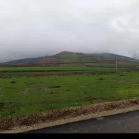 زمین ویلایی با ویو جنگل