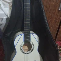 گیتار و کیس