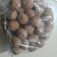 چای کله مورچه ای