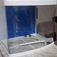آکواریوم دلسا شیشه خم