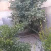 خانه اجاره ای