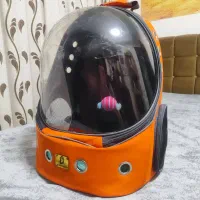 کیف حمل گربه