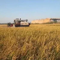 ۱ هکتار زمین کشاورزی دارای مجوز