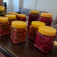 انواع ترشیجات