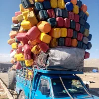 جویای کار