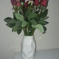 تعدادی گل و گلدان