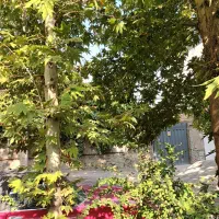زمین 350متری جوازساخت4طبقه سند6دانگ لوکیشن دار
