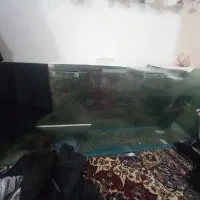 آکواریوم بزرگ