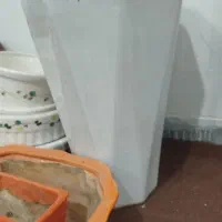 گلدان|گل و گیاه طبیعی|قم, باغ شریفی|دیوار