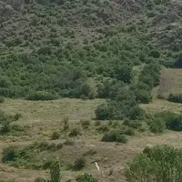 زمین کشاورزی در دیلمان