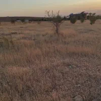 اینگیجه۴۵۰۰متر دهنه ۵۷ سند ثبتی زمین خانه باغ