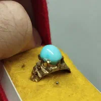 فیروزه عجمی