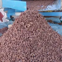 کشمش آفتابی