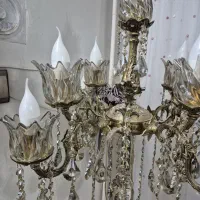 لوستربرنز- ۵شاخه-