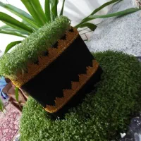 سبزه آماده برای حجاج عزیز