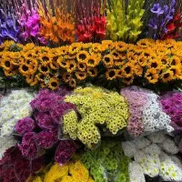 نیرو کار در گل فروشی