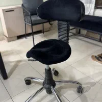 صندلی چرخدار سالنی