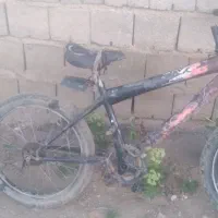 دوچرخه ‌۲۰دنددار