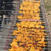 تنها تفرجگاه و اردوگاه جنگلی استان یزد-خضرآباد-بوز