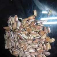 تخمه قرمز مخصوص پرنده
